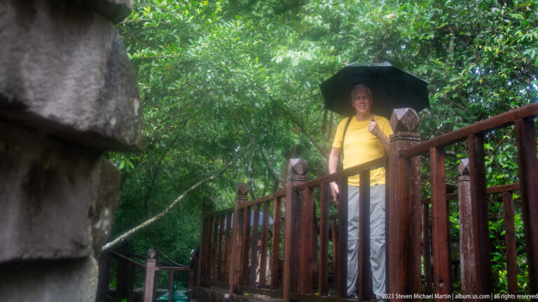 Man with a black umbrella standing on a raised wooden platform in wet forest.