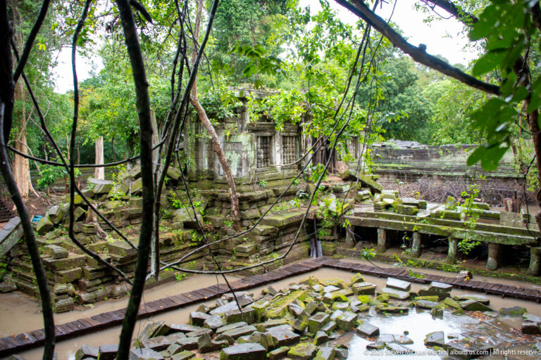 Flooded temple court with raised wooden paths, fallen stones, vines, and ruined gallery walls.