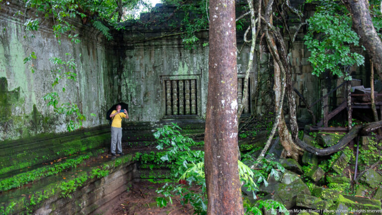 Visitor photographing a balustered gallery wall beside massive tree roots and wet mossy stone.