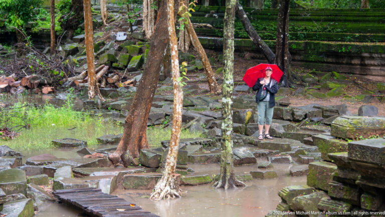 Visitor with red umbrella standing among flooded sandstone blocks and slender trees.