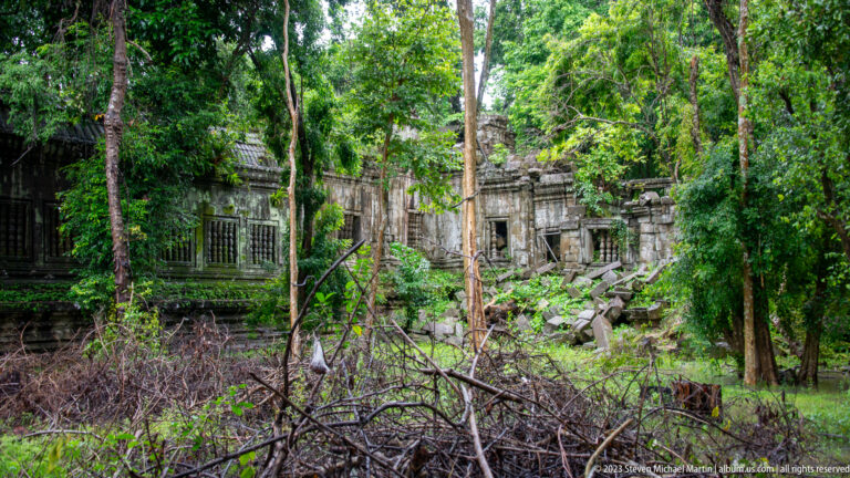 Long sandstone gallery partly hidden by trees, vines, undergrowth, and collapsed masonry.