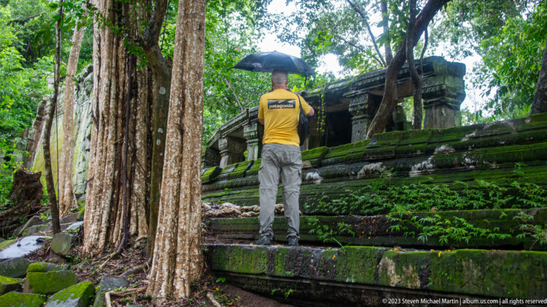 Man with black umbrella standing on broad moss-covered sandstone steps beside a large tree.
