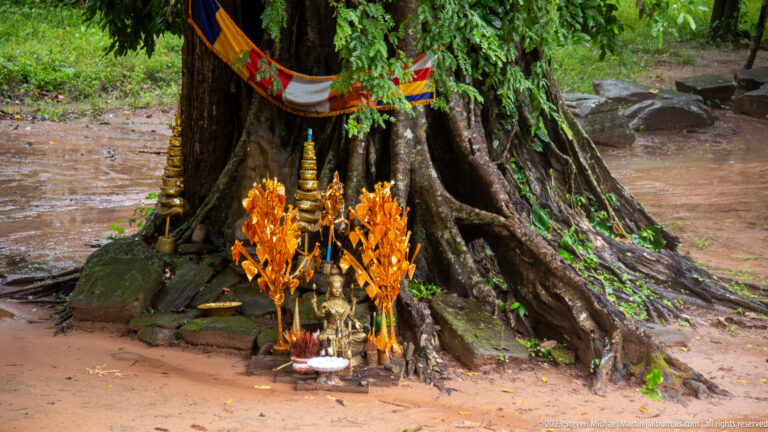 Small spirit shrine with offerings and orange decorations arranged at the base of a large tree.