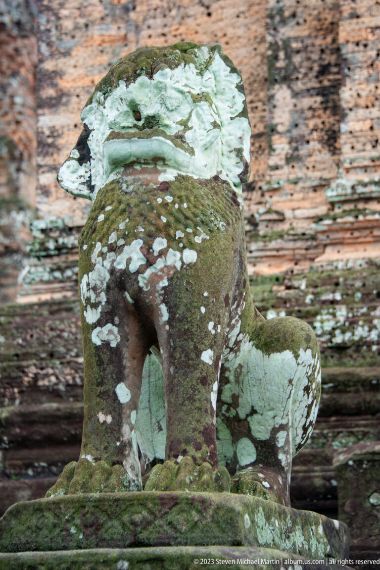Three-quarter rear view of guardian lion