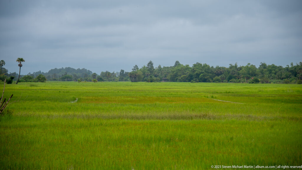 Rice fields surrounding East Mebon