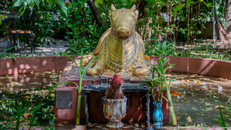 Weathered seated bull sculpture beside a garden pond with incense sticks and small offerings arranged in front.