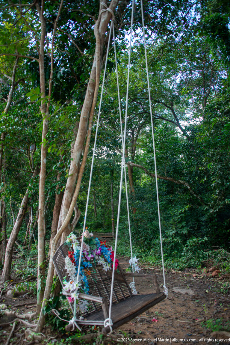 Flower-decorated rectangular platform suspended by ropes beneath a large tree in the forest.