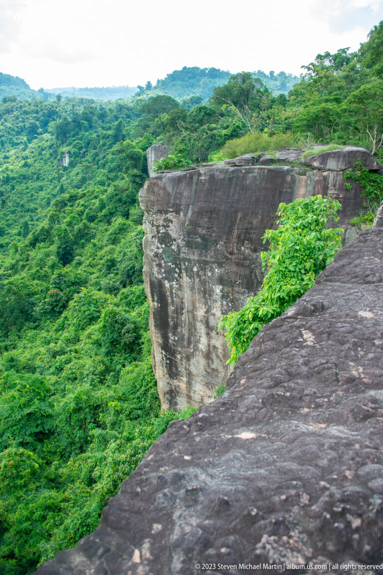 Sheer dark rock cliff drops into dense green forest, with vines growing along the edge.