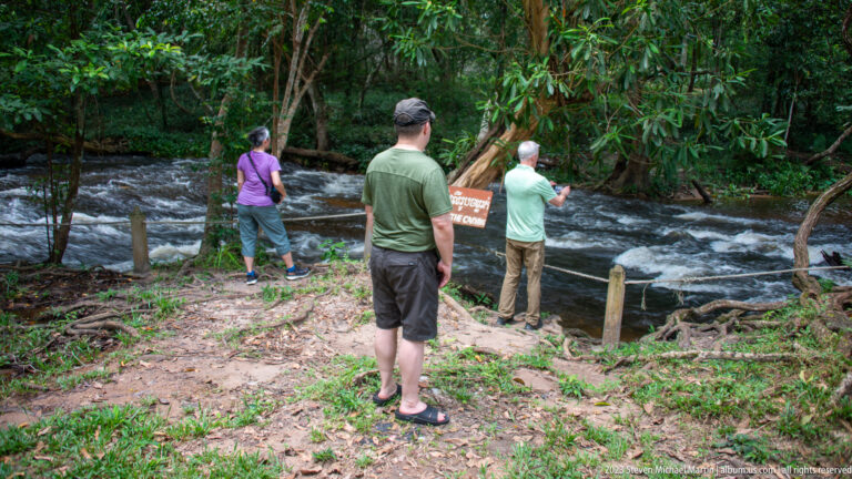 Visitors stand beside a fast forest river while one person points toward the water.