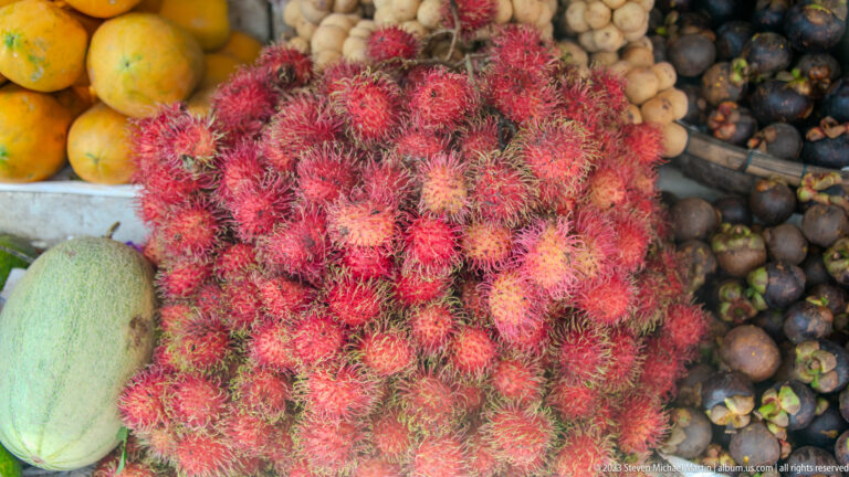 Large pile of red rambutans surrounded by melons, mangosteens, longans, and other market fruit.