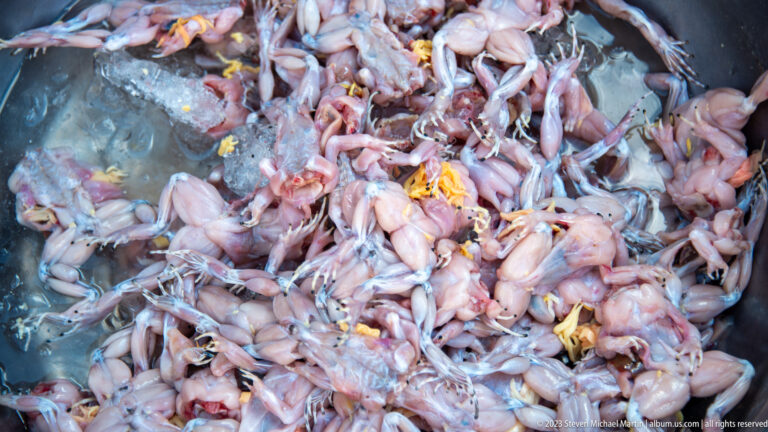 Close view of many cleaned frogs piled together in a metal market tray.