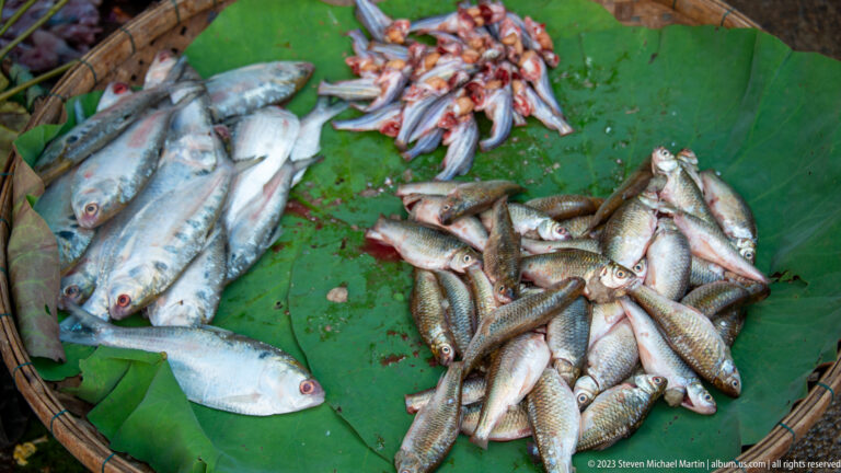 Assorted small fresh fish arranged in separate piles on large green banana leaves.