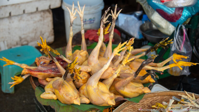 Whole plucked chickens with heads and feet intact arranged upright at a market stall.