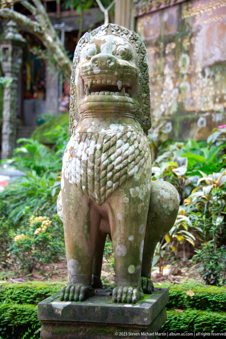 Frontal weathered guardian lion with open mouth and patterned chest.