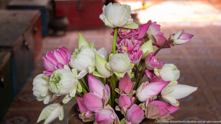 Vase filled with pink and white lotus flowers viewed from above.