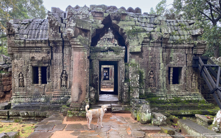 Light-colored dog standing before a carved sandstone temple façade with doorway and female figures.