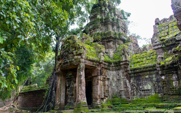 Large tree roots descend over a moss-covered stone shrine with a dark doorway.