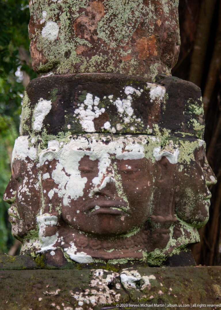 Weathered sandstone face fragment covered with white and green lichen.