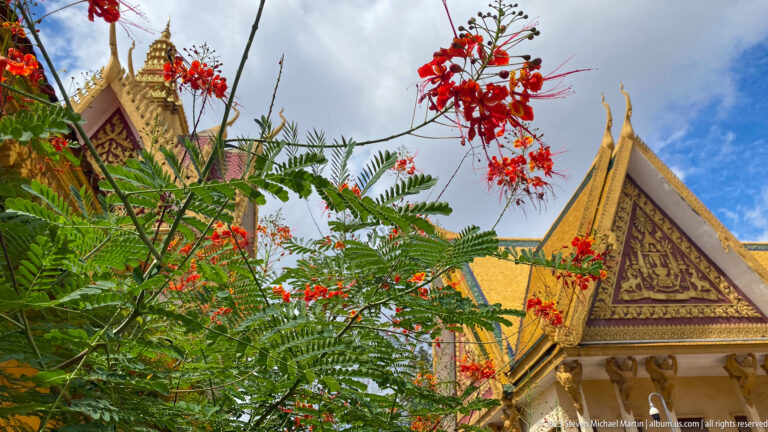 Red and yellow peacock flowers in front of an ornate triangular palace gable with gold relief and roof finials.