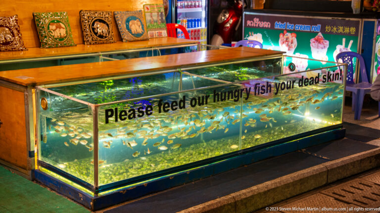 Glass fish-spa tank filled with small fish and a sign asking customers to feed them dead skin.