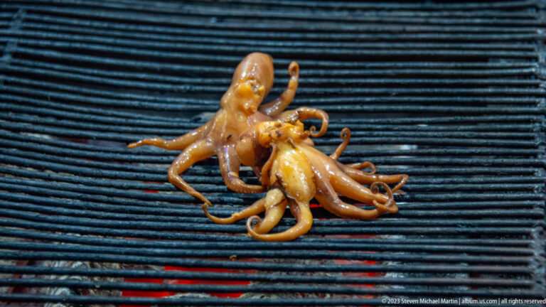 Two small whole octopuses with curled tentacles cooking on a metal grill over glowing charcoal.