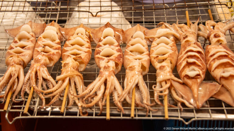 Rows of whole cleaned squid on wooden skewers across a wire grill, with scored bodies and dangling tentacles.