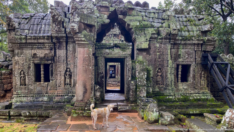Dog standing before a ruined carved gateway with aligned doorways, narrow windows, and a support brace.