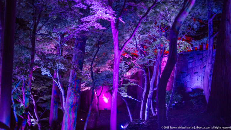 Trees in a castle garden illuminated with violet, magenta, and blue uplighting.
