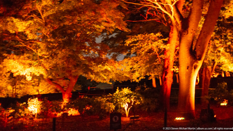 Mature trees and foliage glowing under intense orange and amber uplighting.