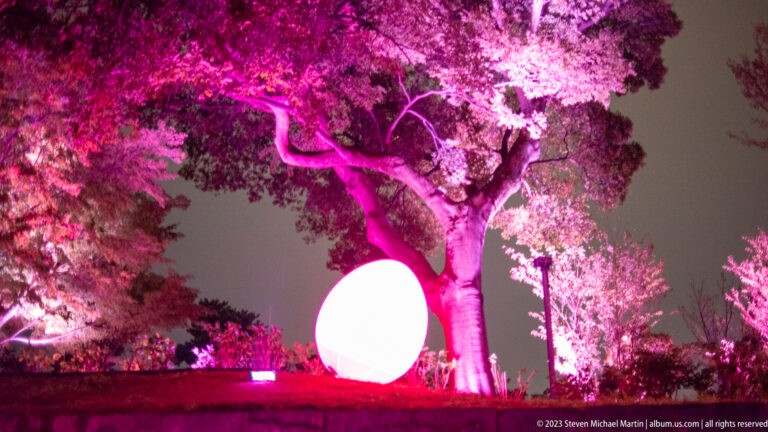 Bright white responsive ovoid light beneath a pink-lit tree on a raised garden edge.