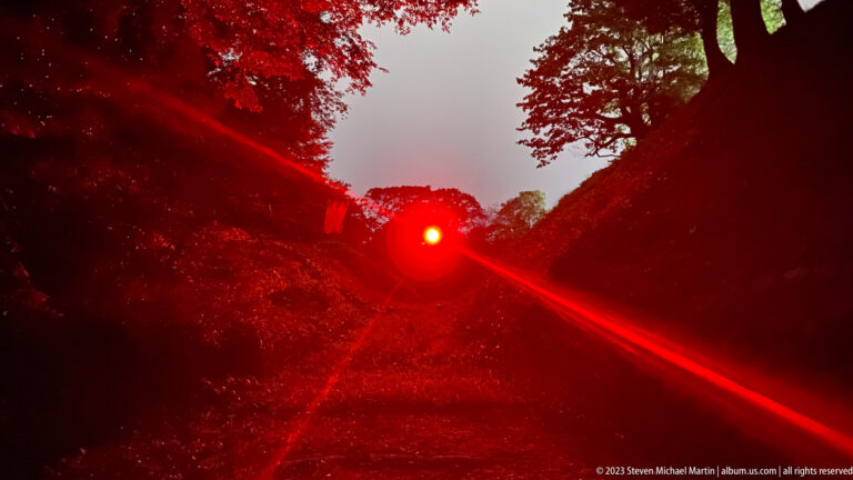 Bright red light sends diagonal beams through dark trees and foliage.