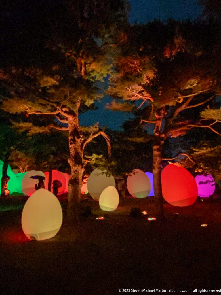 Cream, red, pink, and green responsive glowing ovoids beneath warmly illuminated pine trees.