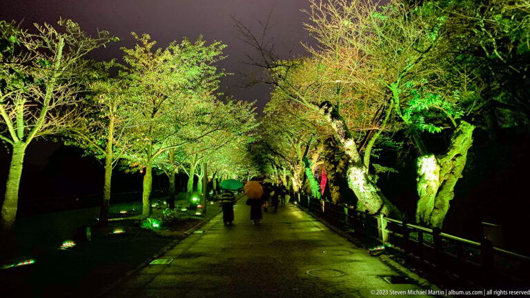 Visitors walk along a straight road beneath green- and yellow-lit trees.