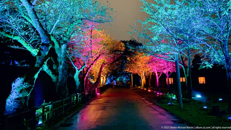 Tree-lined garden road illuminated in blue, pink, orange, and green bands.