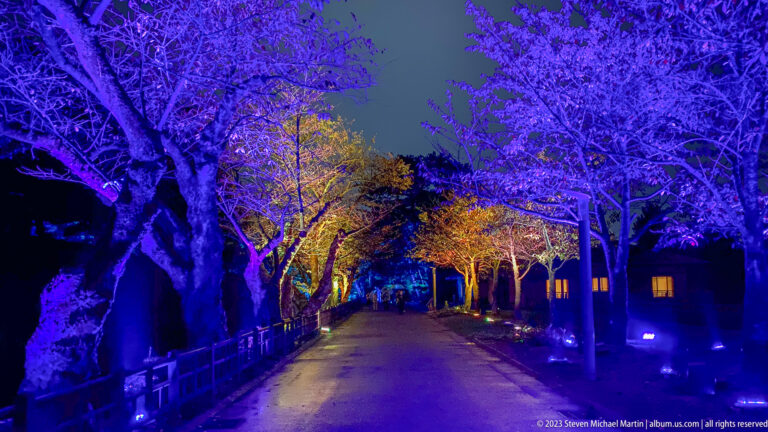 Broad garden road beneath blue-violet trees with warmer yellow light in the distance.