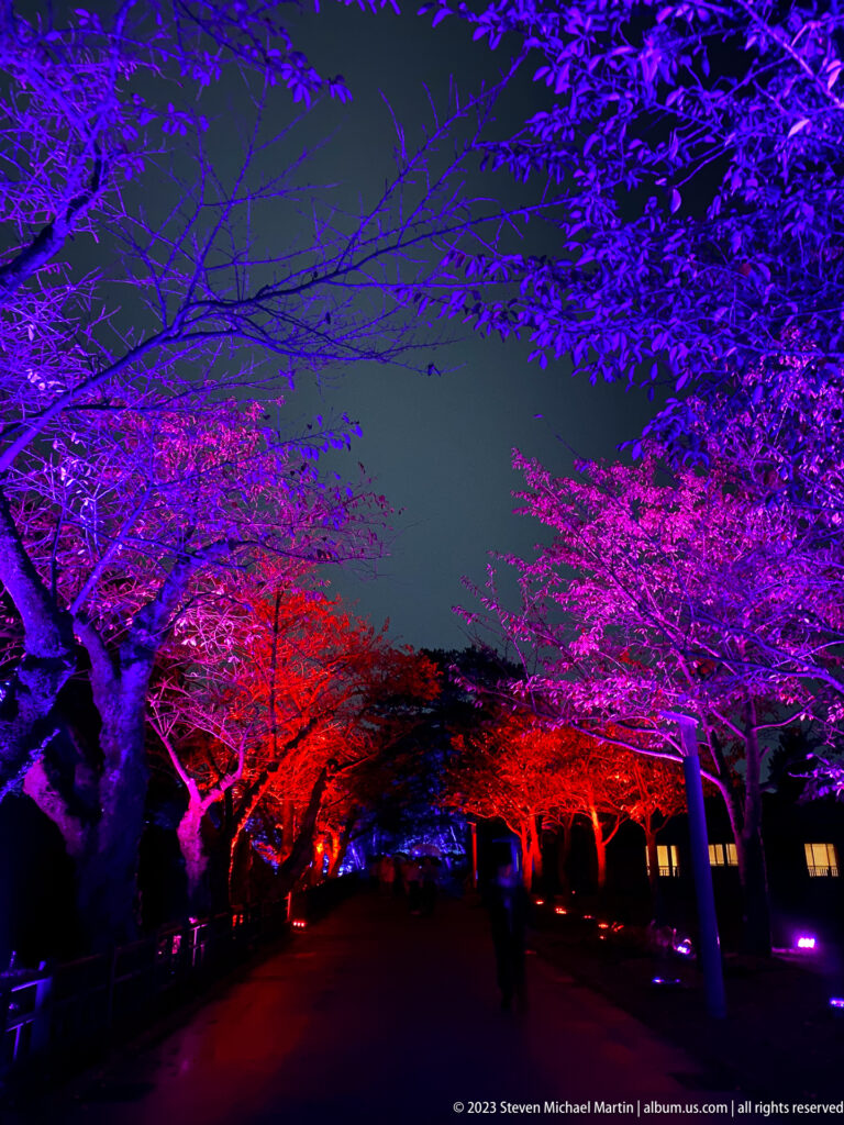 Garden road beneath violet-blue trees leading toward a red-lit canopy.
