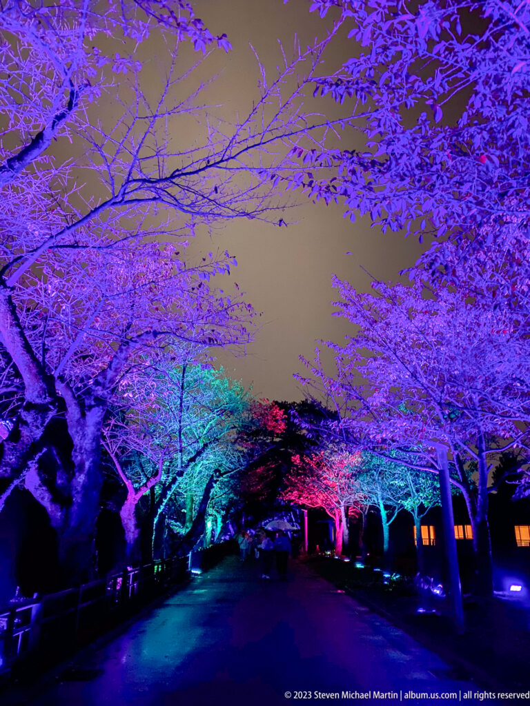 Tree-lined road illuminated blue and cyan with magenta accents farther ahead.