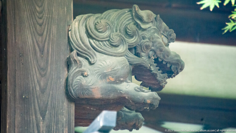 Close view of a weathered wooden lion-like bracket carving with curled mane and open mouth.