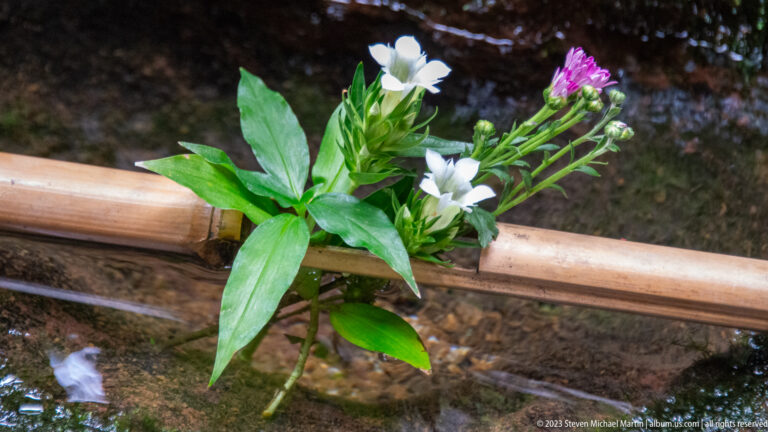 Small arrangement of white and purple flowers with green leaves beside a horizontal bamboo element.