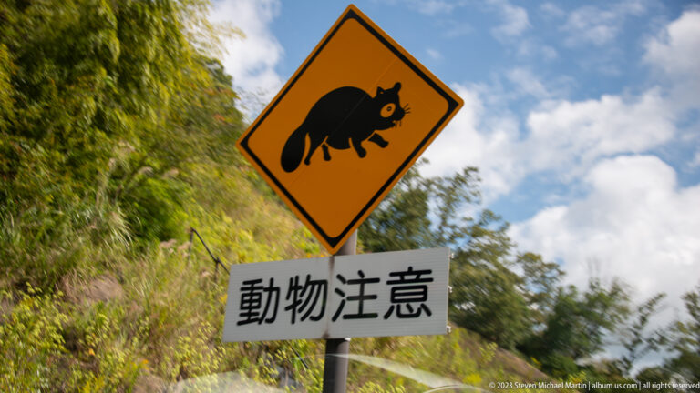 Yellow animal-crossing sign with a black tanuki-like silhouette above Japanese caution text.
