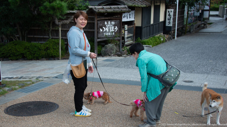 Two visitors with three leashed dogs stand on a paved lane beside traditional wooden buildings near Maruyama Park.