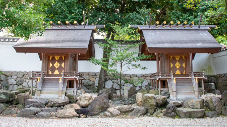 Two small wooden shrine buildings standing side by side above rocks.