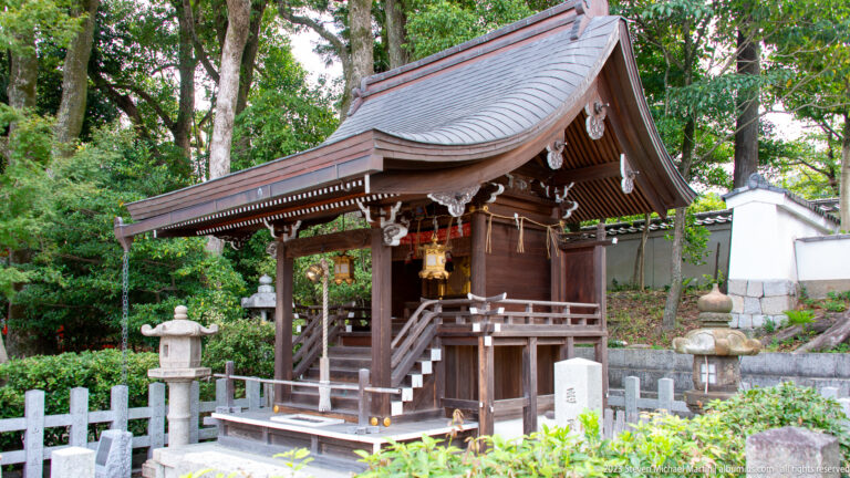 Small wooden Shinto sanctuary with curved roof and hanging bell ropes.