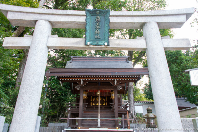 Stone torii standing directly before a small wooden shrine.