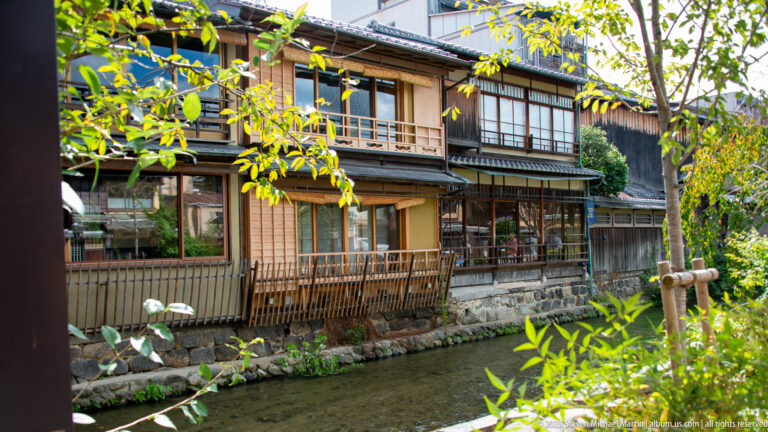Traditional wooden machiya with balconies overlooking the Shirakawa canal in Gion in its surrounding Kyoto setting.