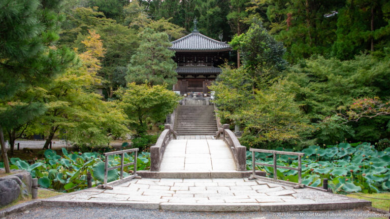 Stone bridge and central stairway leading uphill to a dark wooden gate amid trees and lotus ponds.