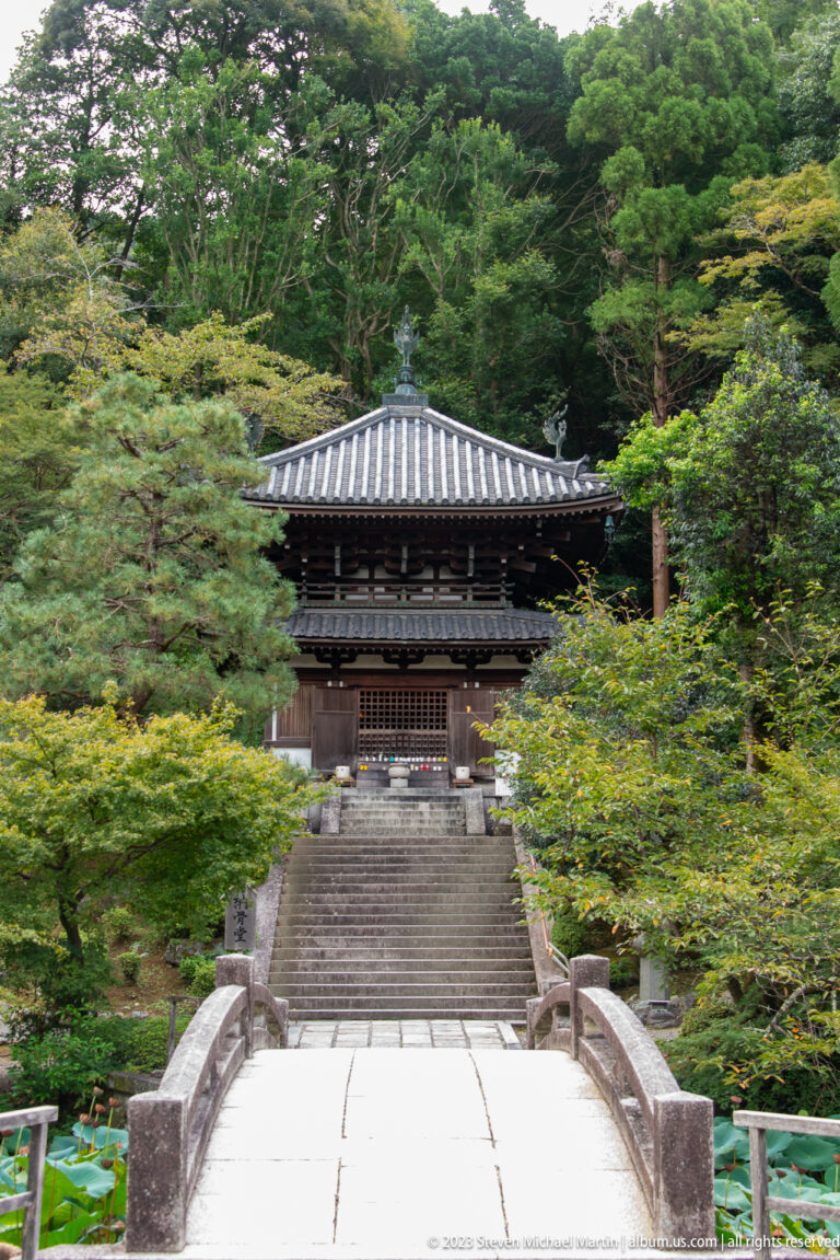 Distant dark wooden gate centered above stone steps and partly obscured by green foliage.