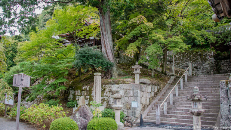 Narrow stone steps climbing a wooded slope past stone lanterns, retaining walls, shrubs, and inscribed markers.
