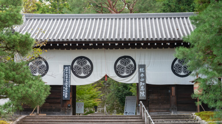 Small timber temple gate covered by a white curtain with black circular crests, opening onto a leafy path.