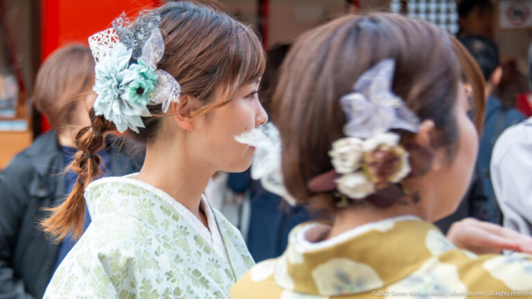 Two visitors in patterned kimono shown in profile with large floral hair ornaments.